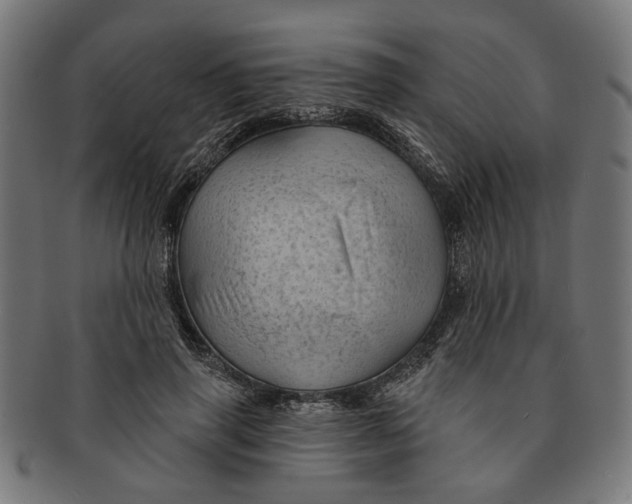 X0000091230645200709061520