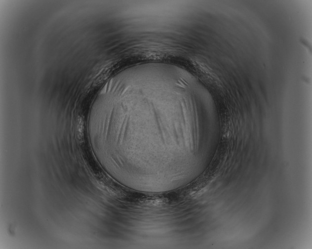 X0000091230646200709061520