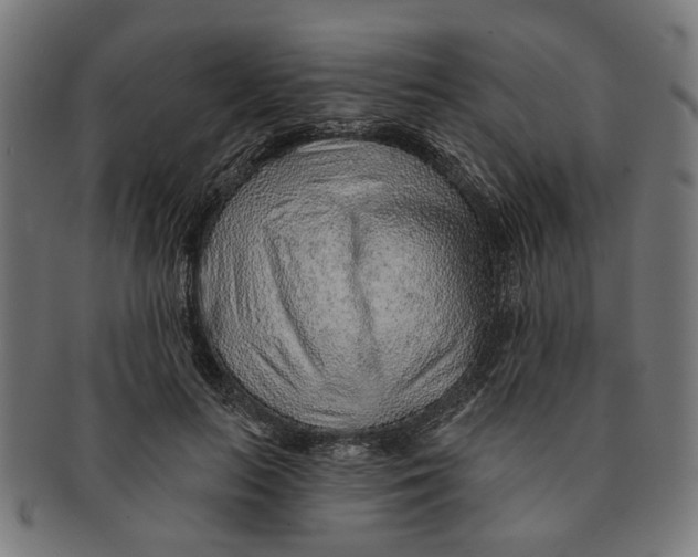 X0000091230647200709061520