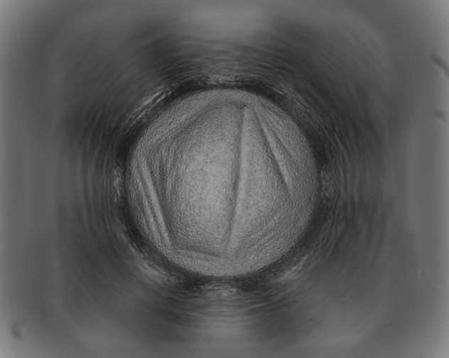 X0000091230648200709061520