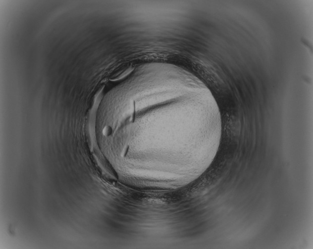 X0000091230649200709061520