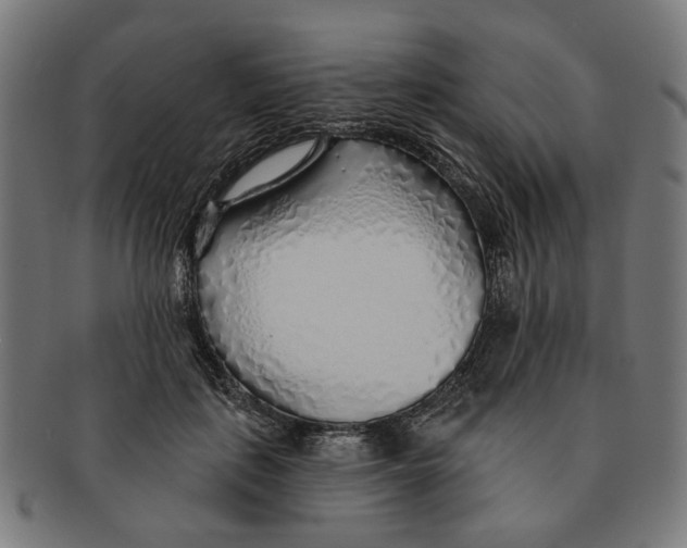X0000091230651200709061520