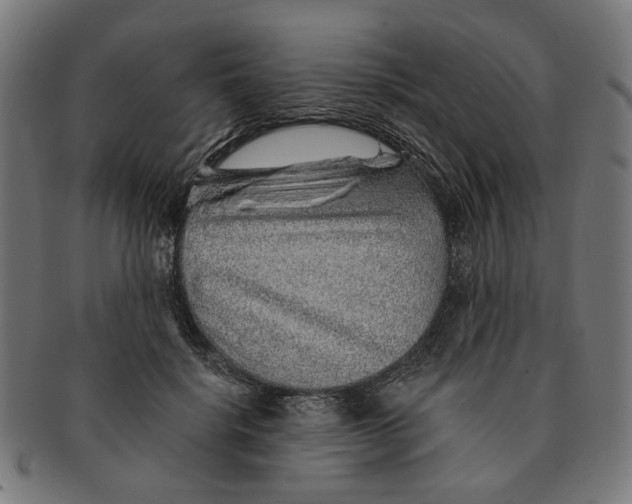 X0000091230652200709061520