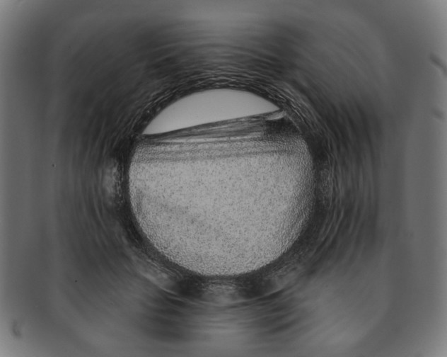 X0000091230653200709061520