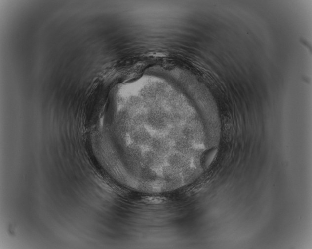X0000091230654200709061520