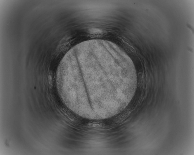 X0000091230655200709061520