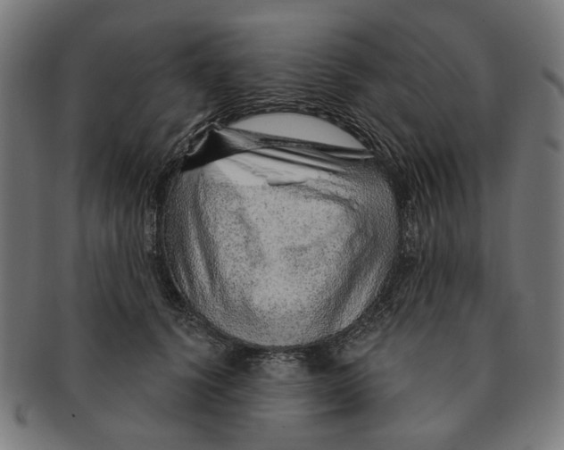 X0000091230656200709061520