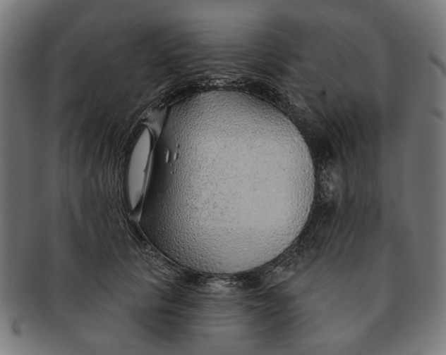 X0000091230657200709061520