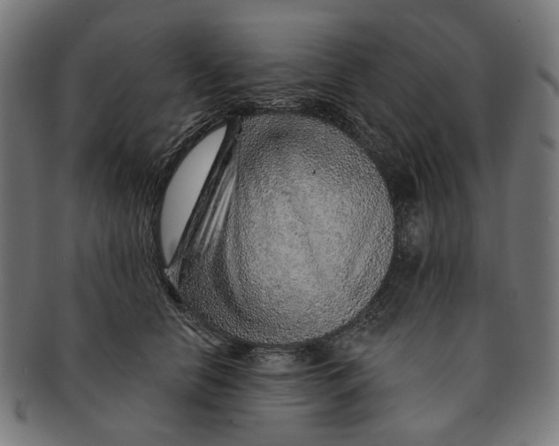 X0000091230658200709061520