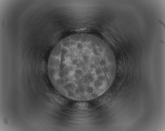 X0000091230659200709061520
