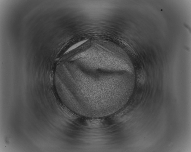 X0000091230661200709061520