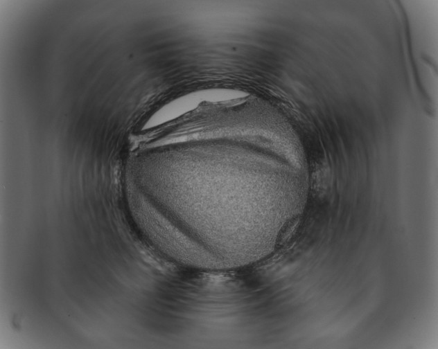 X0000091230662200709061520