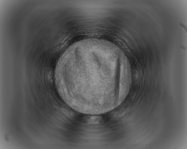 X0000091230663200709061520