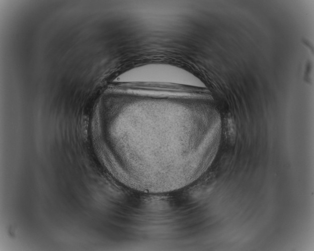 X0000091230664200709061520