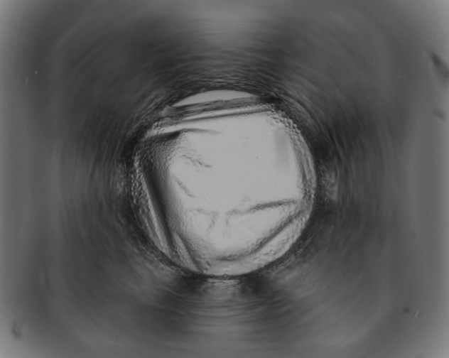 X0000091230665200709061520