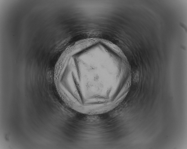 X0000091230666200709061520