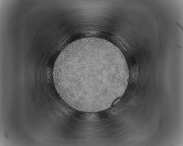 X0000091230667200709061520