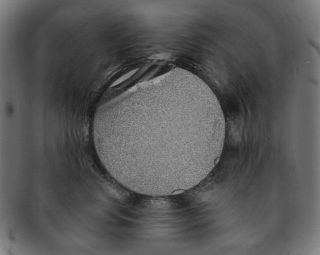 X0000091230668200709061520