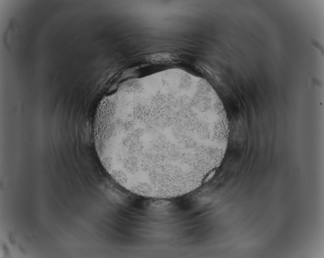 X0000091230669200709061520