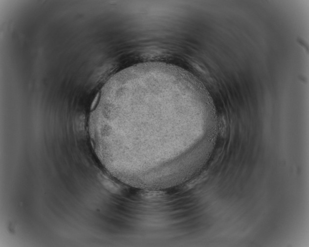 X0000091230670200709061520