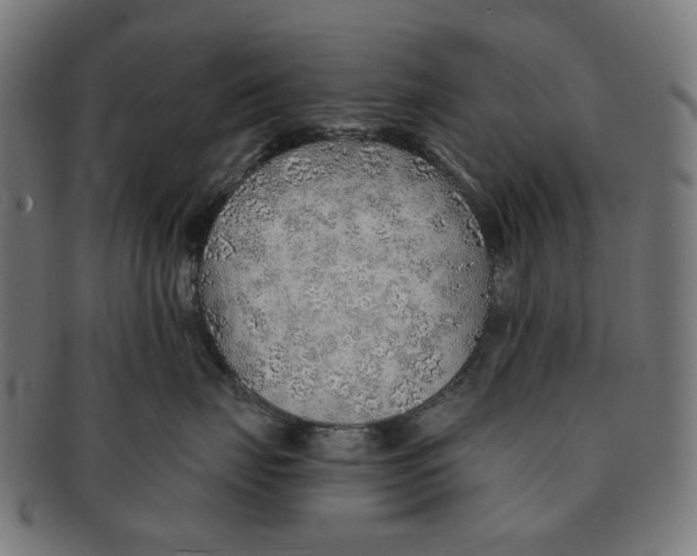 X0000091230671200709061520