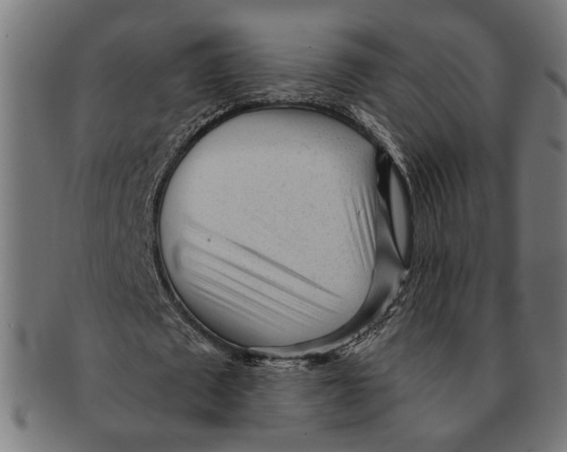 X0000091230673200709061520