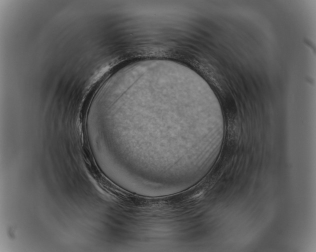 X0000091230674200709061520
