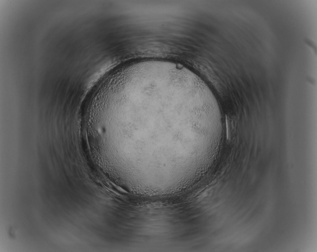 X0000091230675200709061520