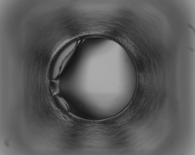 X0000091230676200709061520