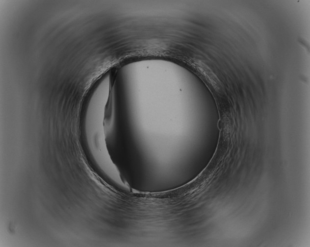 X0000091230677200709061520