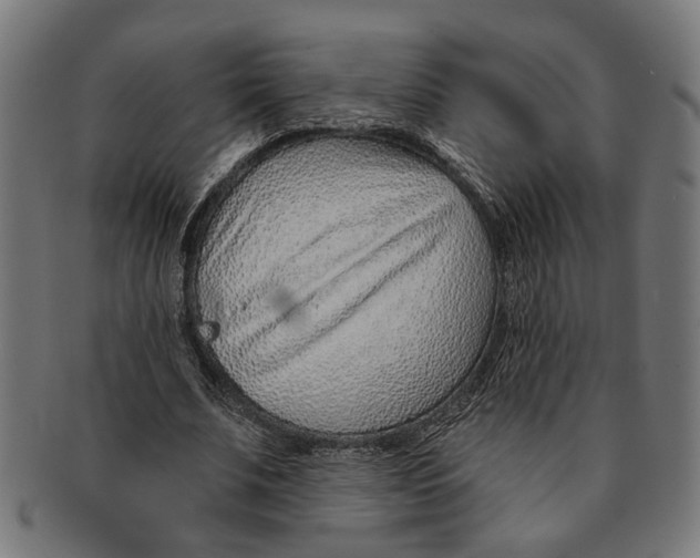 X0000091230679200709061520