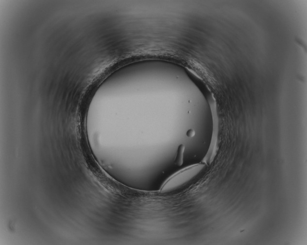 X0000091230680200709061520