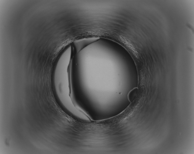 X0000091230681200709061520