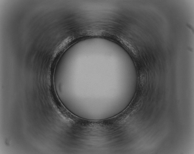 X0000091230682200709061520