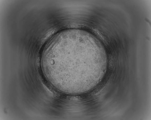 X0000091230683200709061520