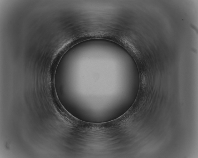 X0000091230684200709061520