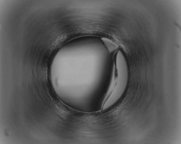 X0000091230685200709061520
