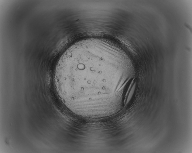 X0000091230687200709061520