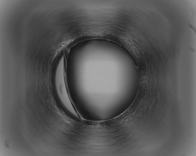 X0000091230688200709061520