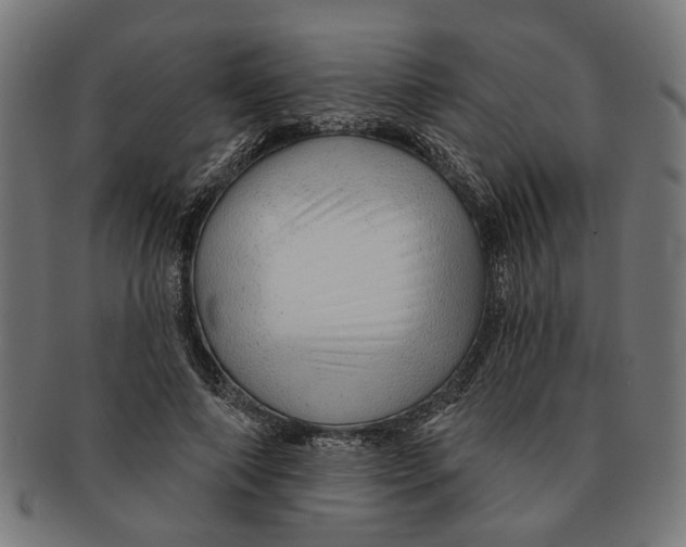 X0000091230690200709061520