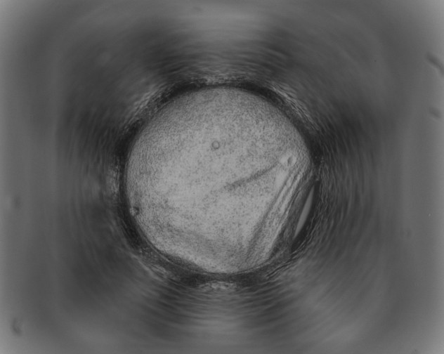 X0000091230691200709061520