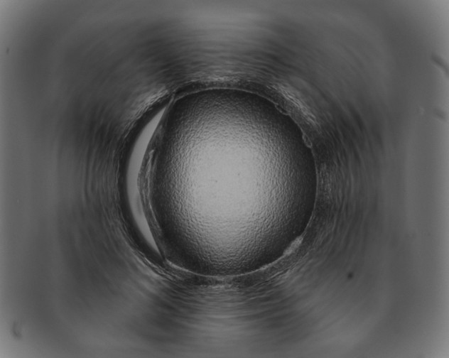 X0000091230692200709061519