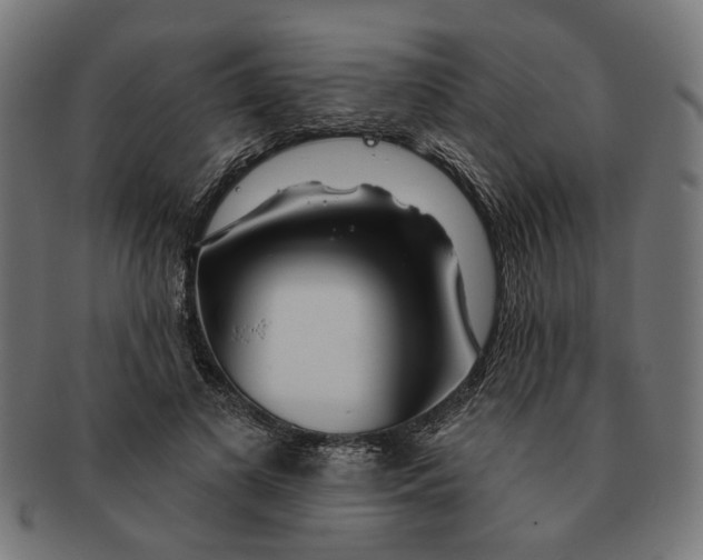 X0000091230693200709061519