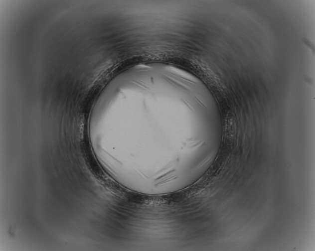 X0000091230694200709061519