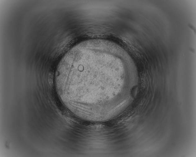 X0000091230695200709061519