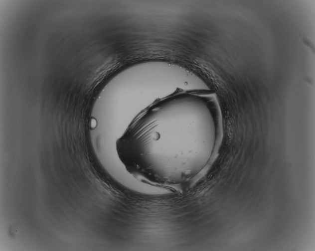 X0000091230696200709061519