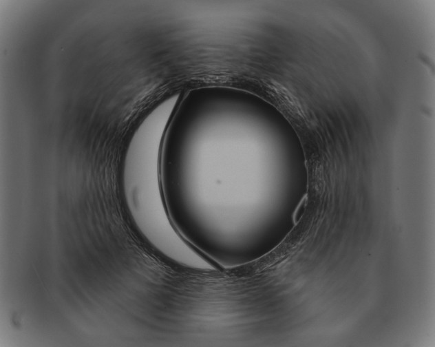 X0000091230697200709061519