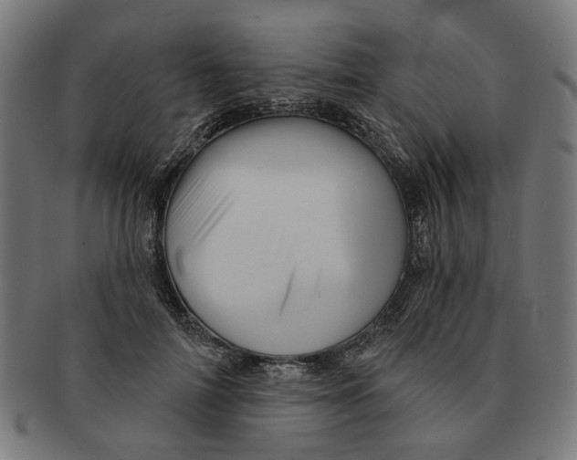 X0000091230698200709061519