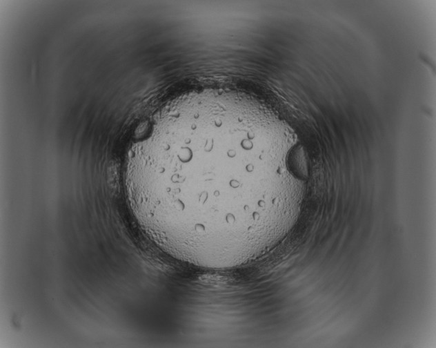 X0000091230699200709061519