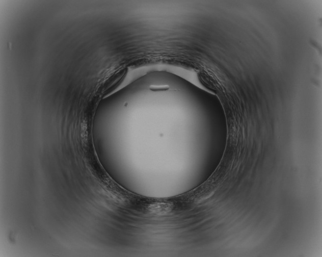 X0000091230700200709061519